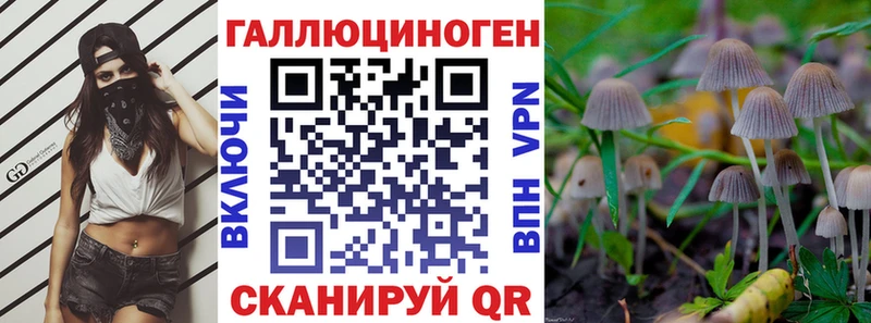 MEGA сайт  наркотики  Новая Ладога  Галлюциногенные грибы GOLDEN TEACHER 